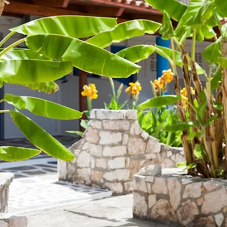 Spasmata Village - Budget Near Sea, Quiet Area Only Adults Minia