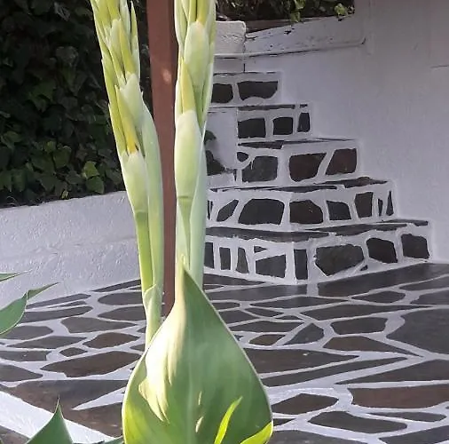 Apartment Spasmata Village - Budget Near Sea, Quiet Area Only Adults *