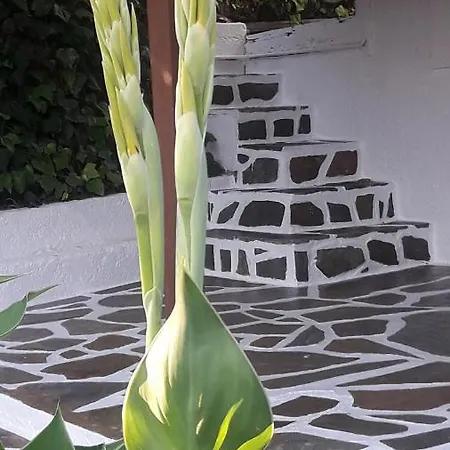 شقة Spasmata Village Only Adults *